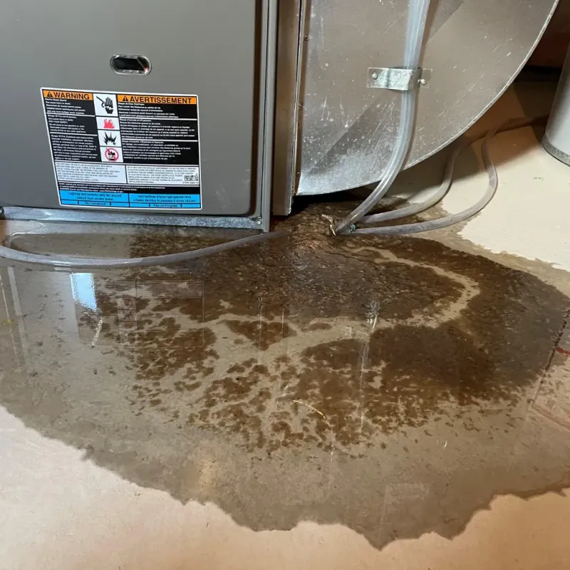 Appliance Leak Cleanup in Boyle Heights, CA